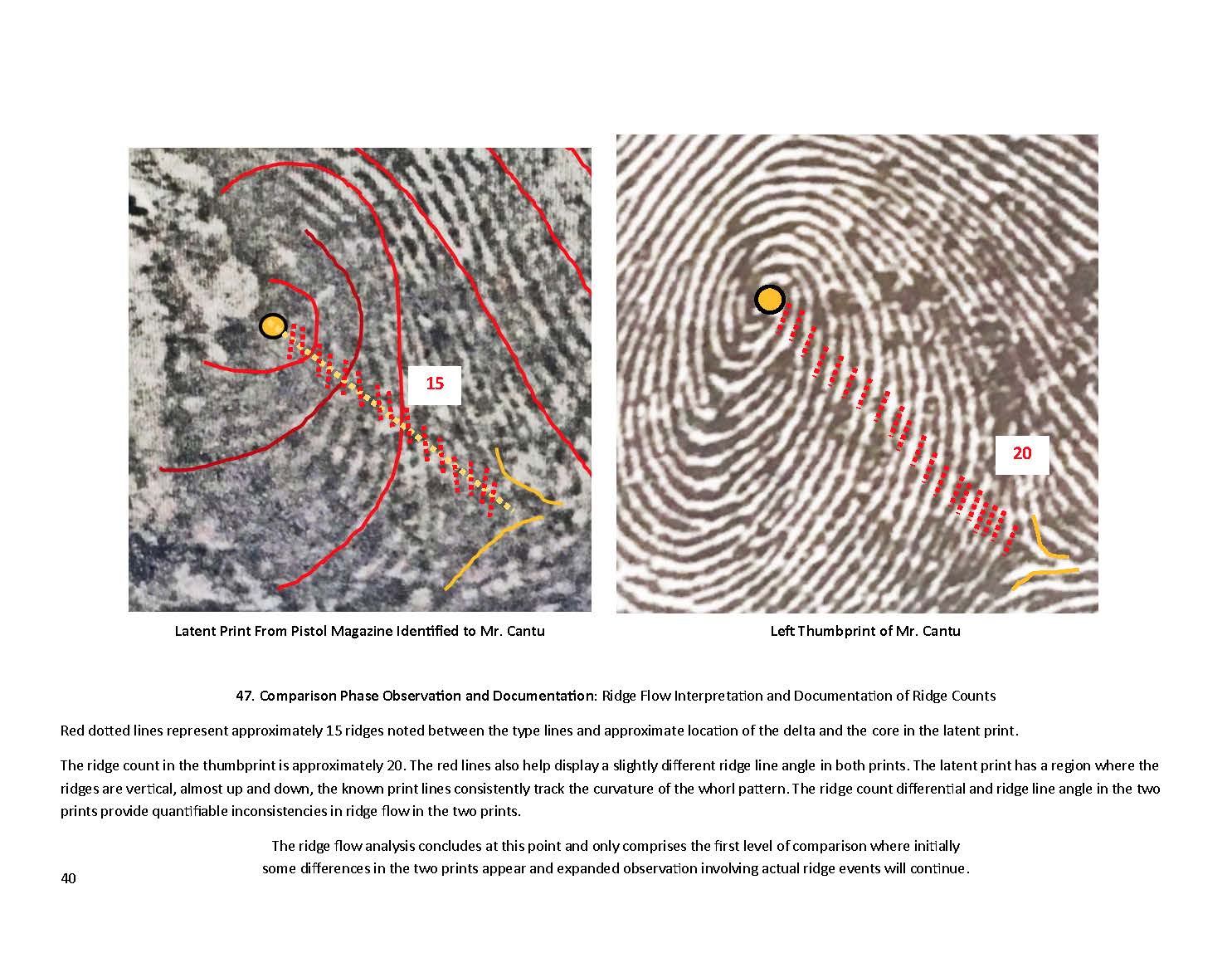 Fingerprint Report Images Cousins By Blood Podcast