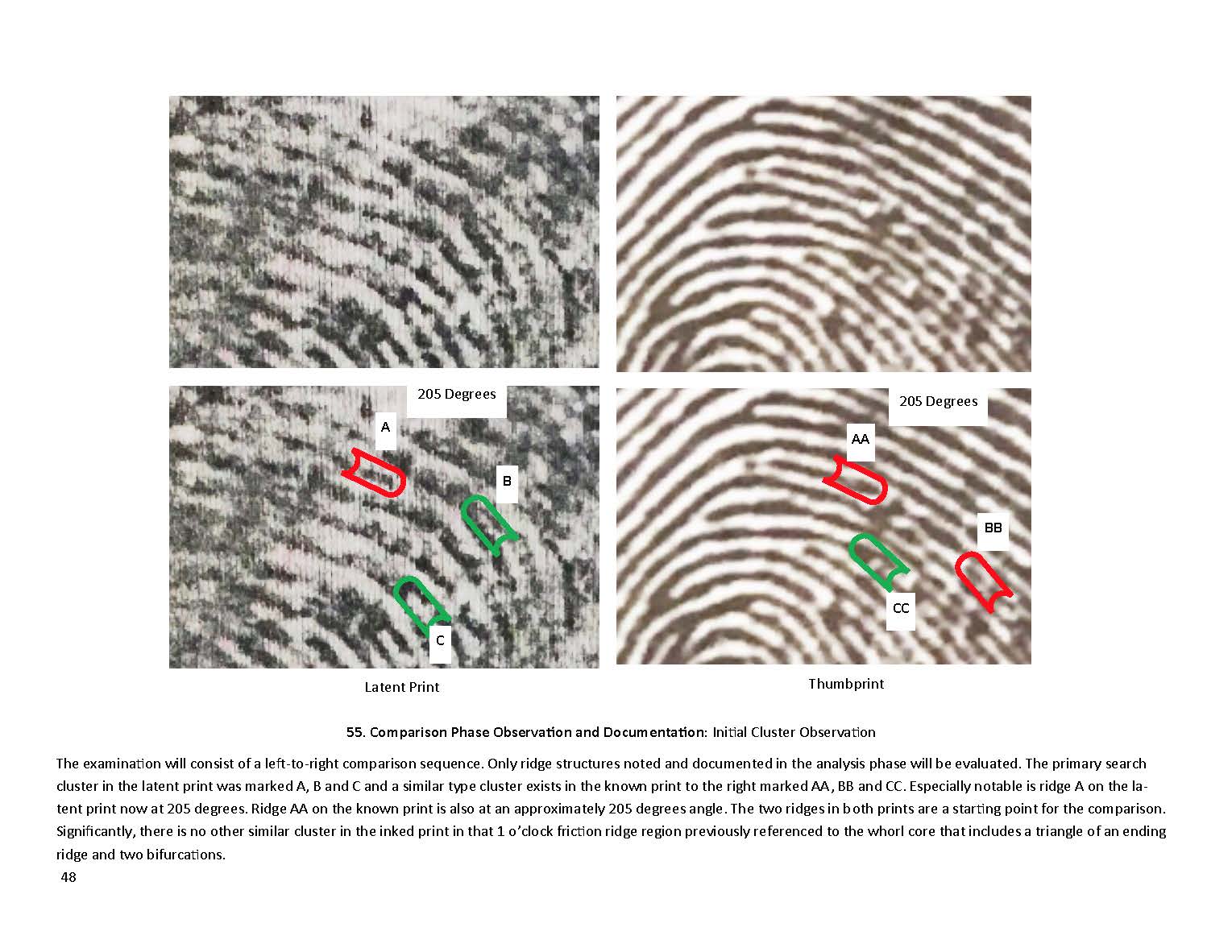 Fingerprint Report Images Cousins By Blood Podcast