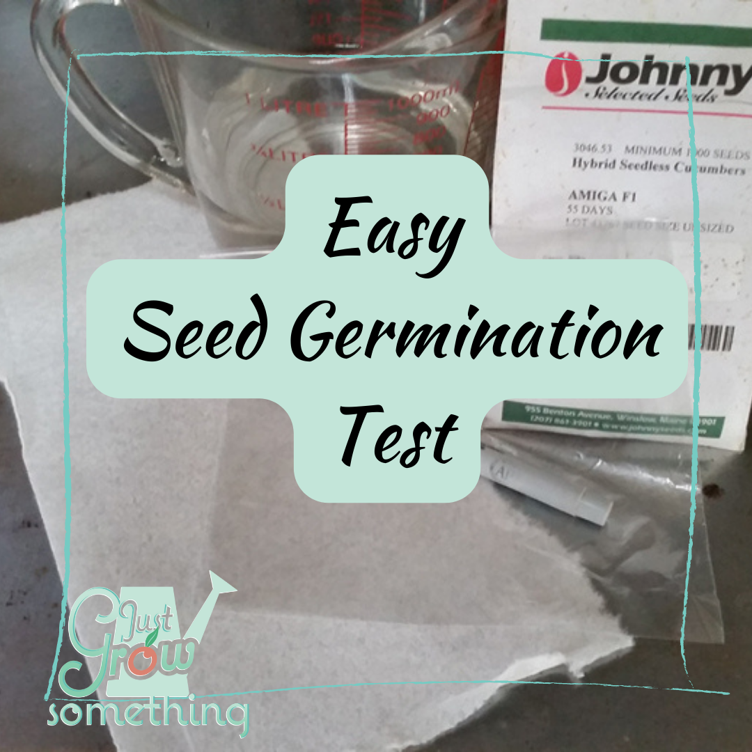 Do Seeds Expire? Just Grow Something with Karin Velez