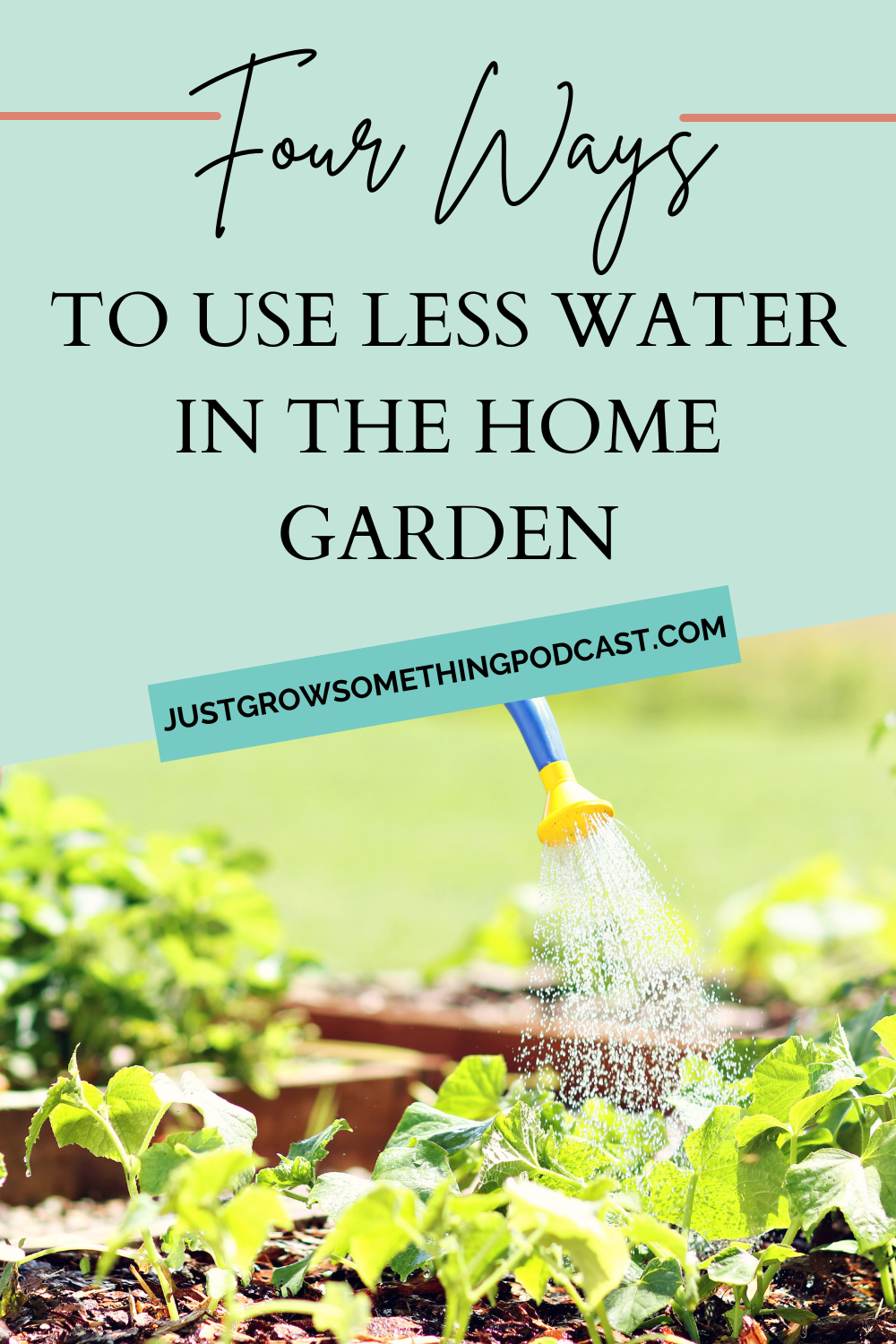 Four Ways to Use Less Water in the Garden Just Grow Something with Karin Velez