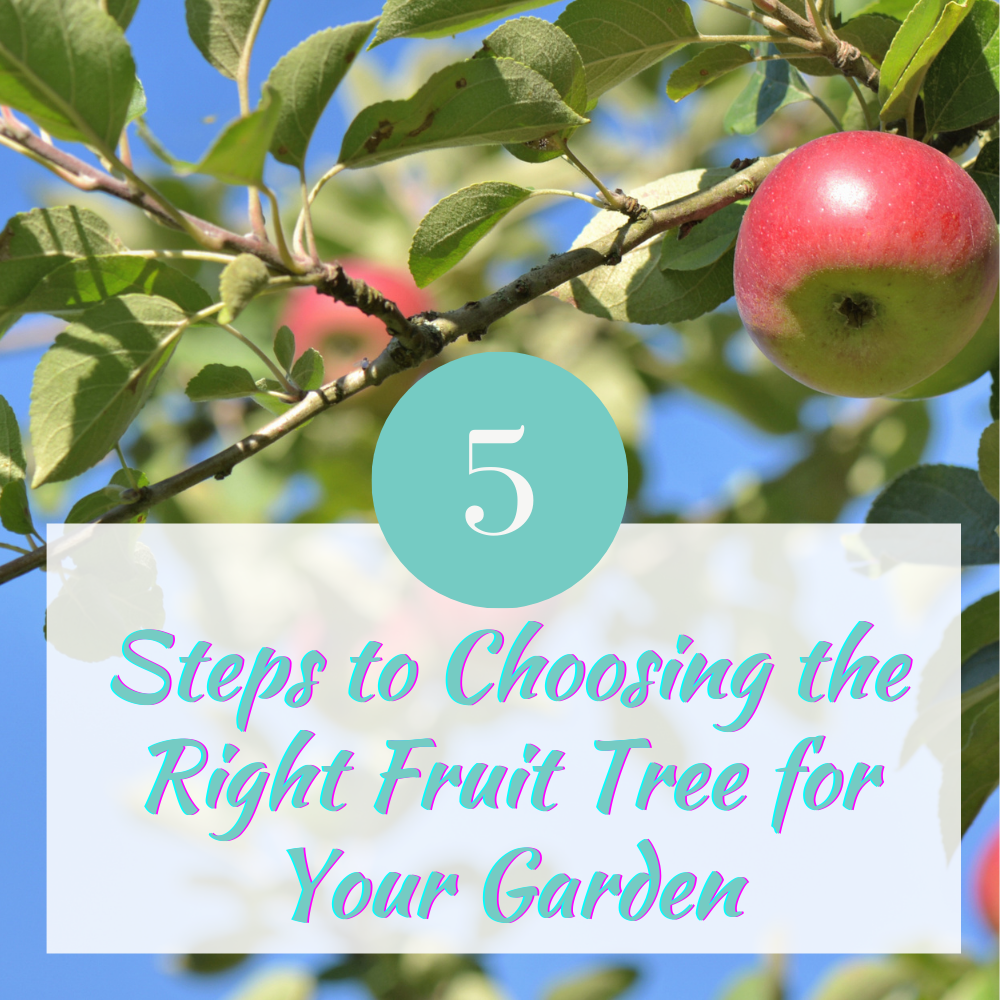 Five Steps to Choosing the Right Fruit Tree for Your Garden | Just Grow ...