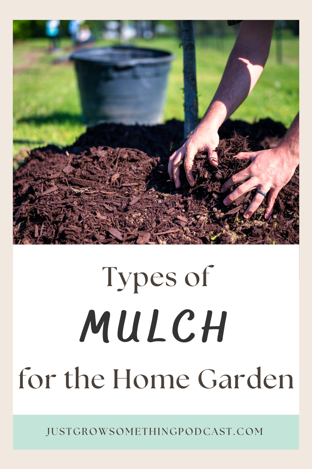 Types of Mulch for the Garden Just Grow Something with Karin Velez