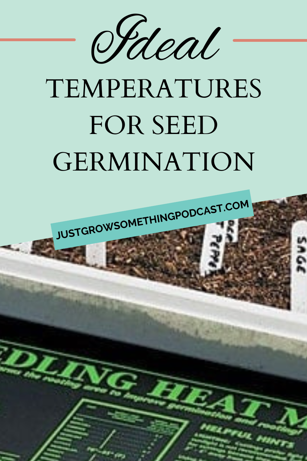 Ideal Germination Temperatures for Seed Starting Indoors and Out Just