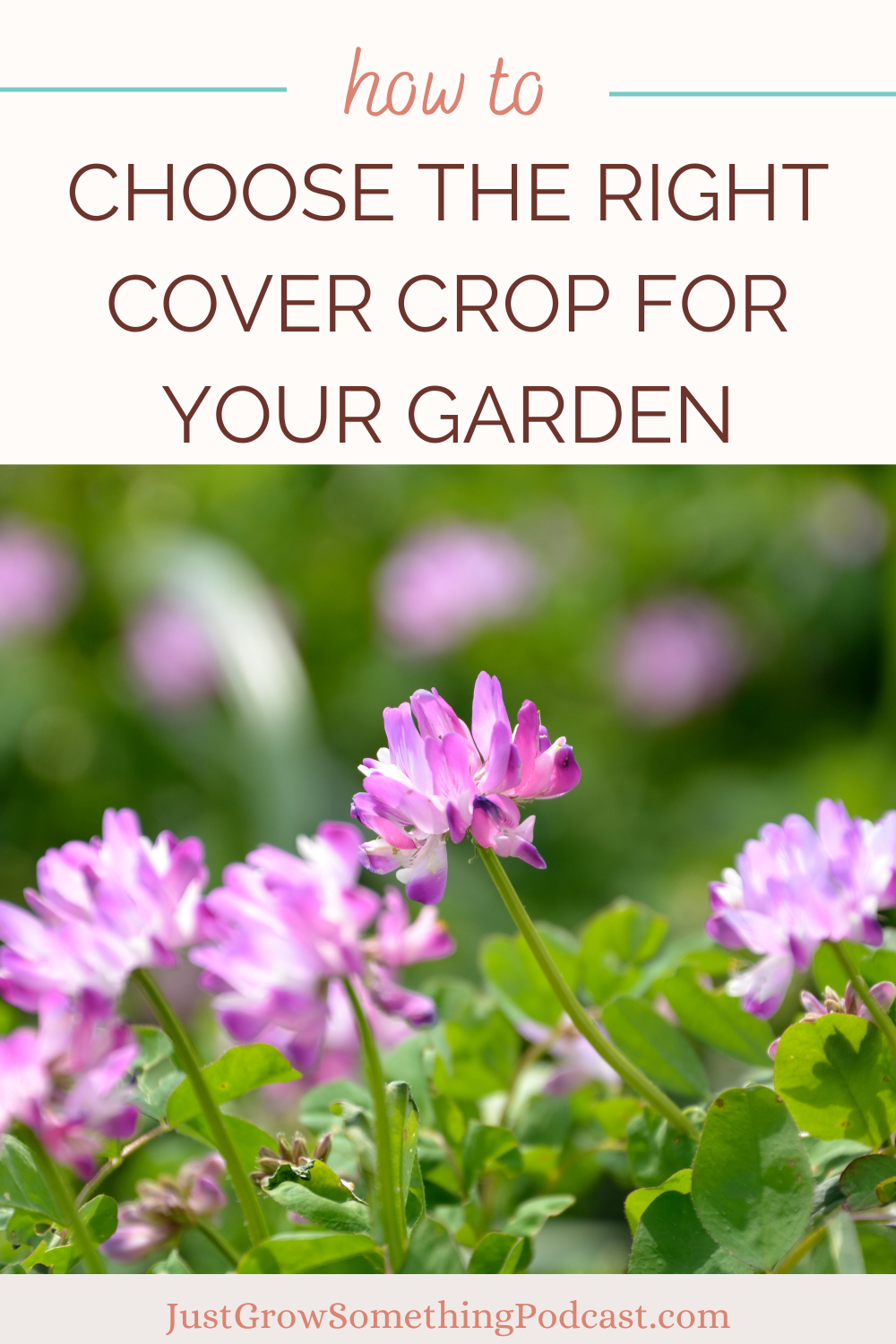 Choosing the Right Cover Crop for the Home Garden | Just Grow Something ...